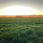 Sunset on the Western Downs